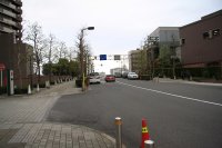 IMG_0134.JPG